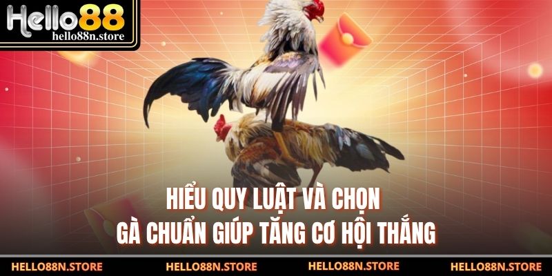 Hiểu quy luật và chọn gà chuẩn giúp tăng cơ hội thắng
